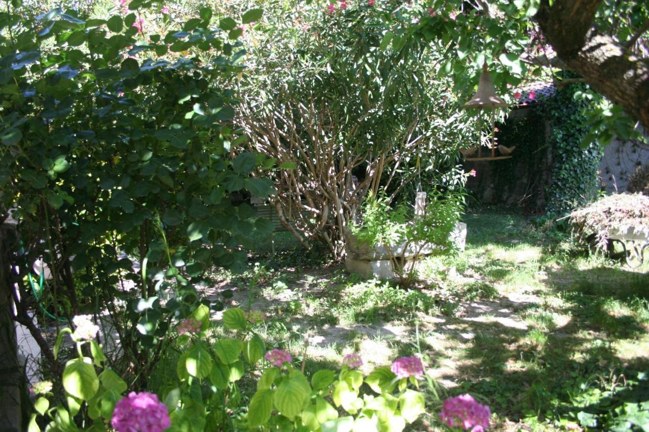 Le Petit Palais Maisonnette Aparthotel Avignon Exterior foto