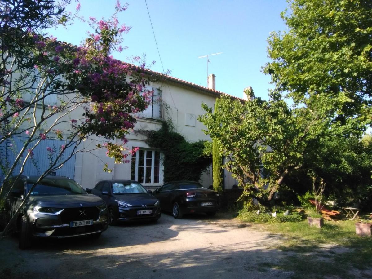 Le Petit Palais Maisonnette Aparthotel Avignon Exterior foto
